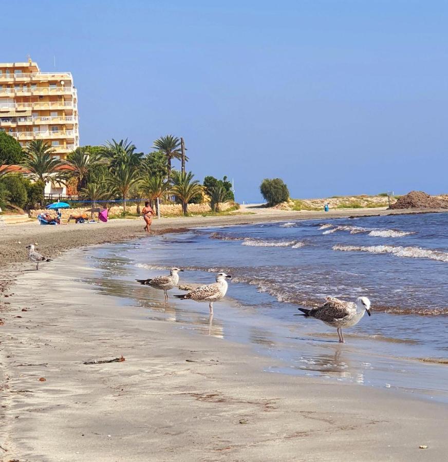 Sunflower Residence First Line By The Sea Санта-Пола Екстер'єр фото